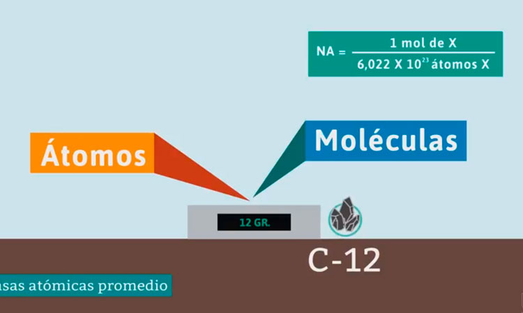 Relaciones Ponderales