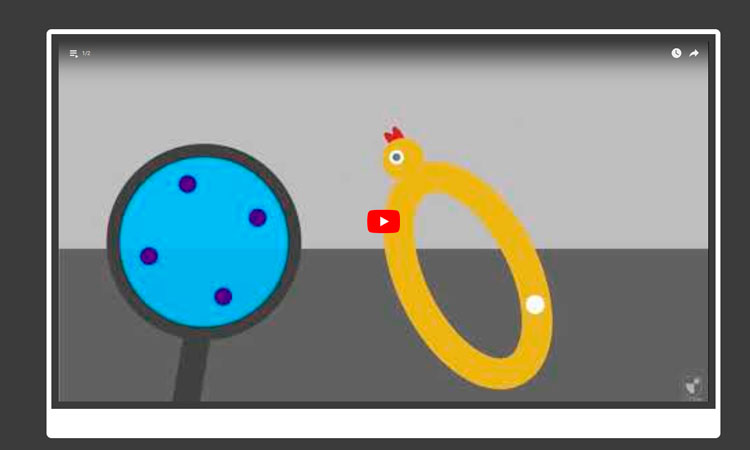 Carga y Fuerza Eléctrica