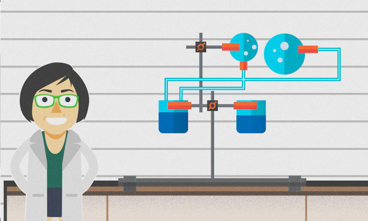 Estequiometría de una Reacción Química