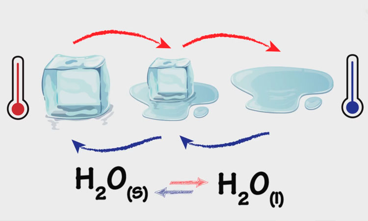 Equilibrio Químico I: Conceptos Fundamentales