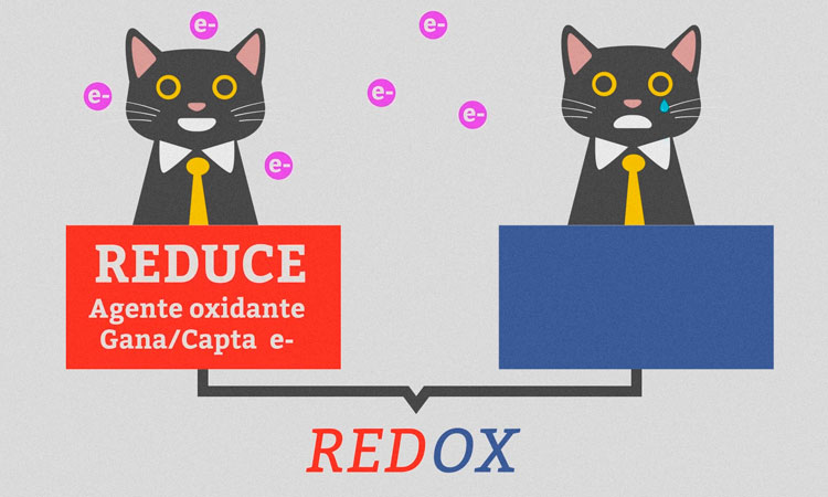 Reacciones de oxidación y reducción I. Conceptos Fundamentales