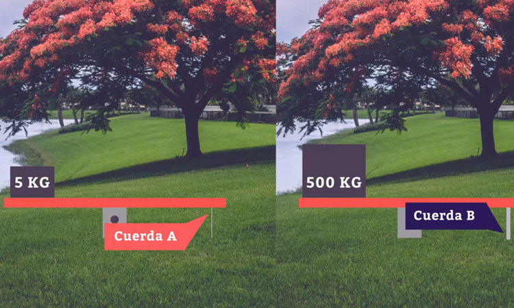 Resistencia de Materiales: Diseño