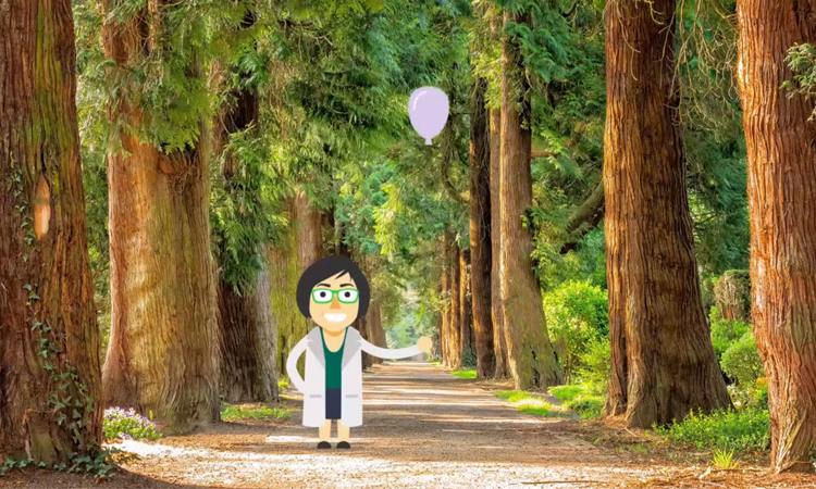 Variables termodinámicas y funciones de estado II