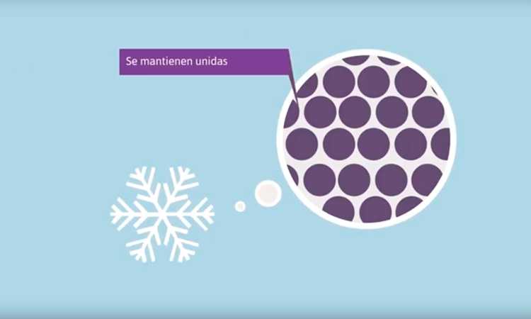 Estados de la Materia