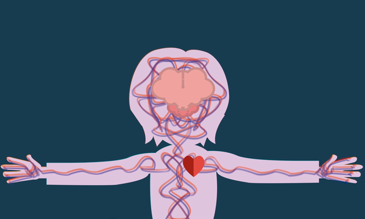 Disoluciones, proceso de disolución