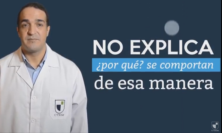 Teoría Cinético Molecular de los Gases